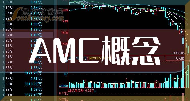 AMC概念公司十强(2023第三季度净利率相关公司排行榜)