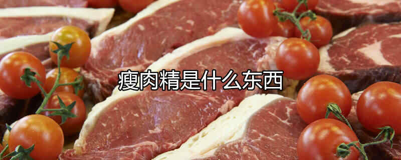 瘦肉精全名叫什么