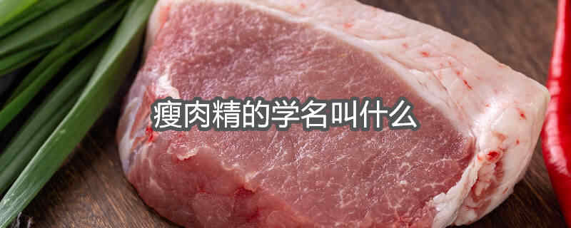 瘦肉精的学名叫什么