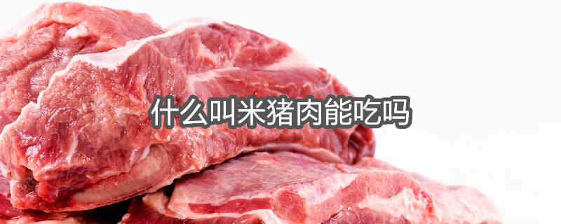 什么叫米猪肉