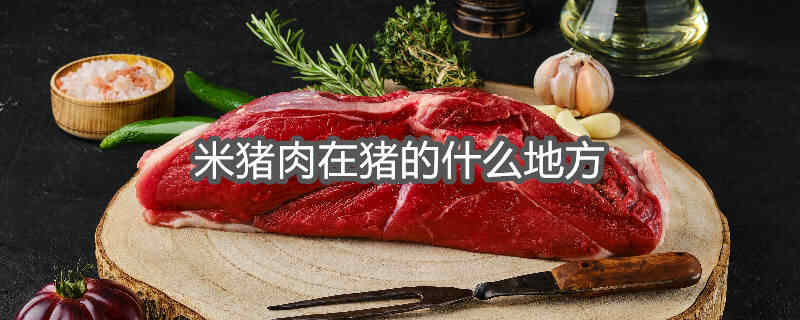 米猪肉在猪的什么地方