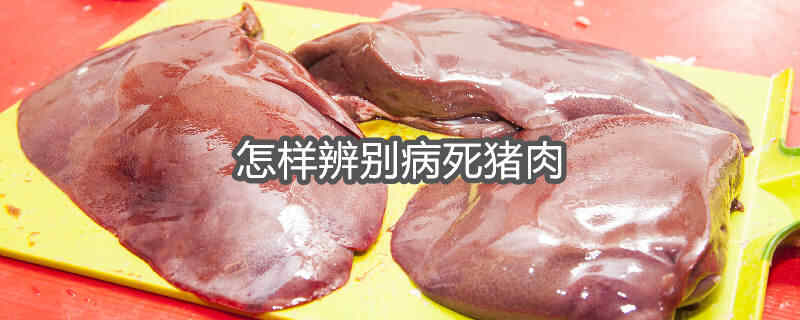 怎样辨别病死猪肉