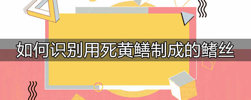 如何识别用死黄鳝制成的鳍丝