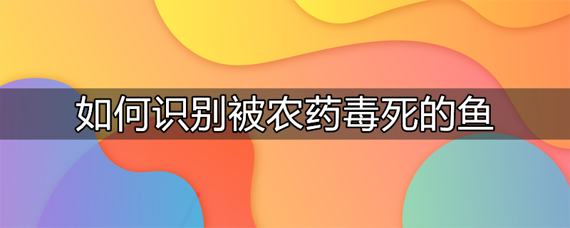 如何识别被农药毒死的鱼