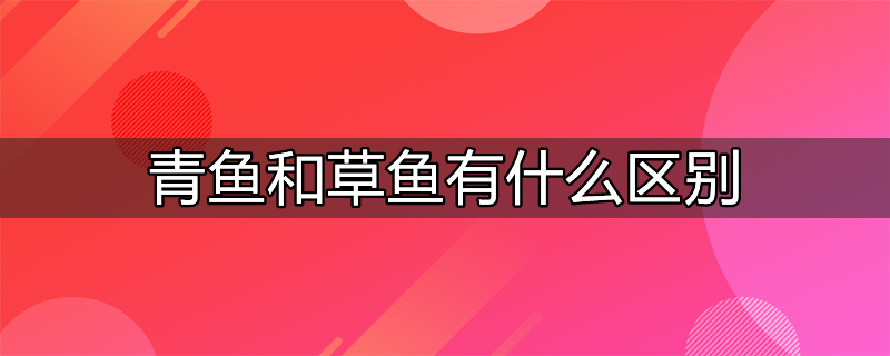 青鱼和草鱼有什么区别图片