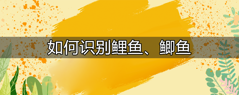 如何识别两个表格中的相同内容