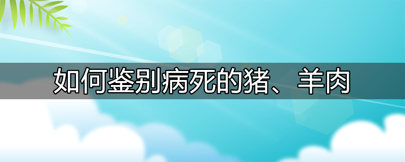 生老病死小游戏攻略