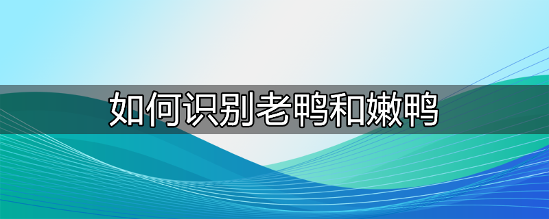 如何识别老鸭的方法