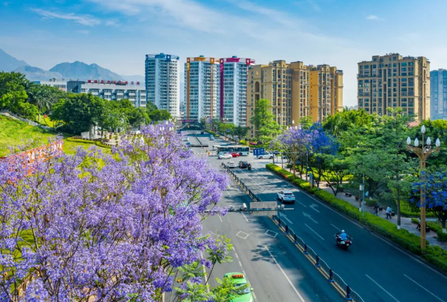 以花卉命名的城市，全国唯一用花来命名的城市，是什么花？