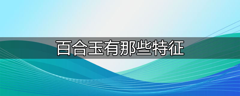 百合玉卖东西