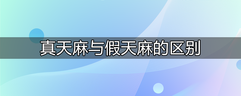 乌天麻和普通天麻的区别