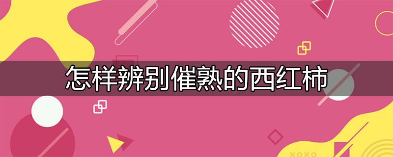 怎样辨别催熟的西红柿真假