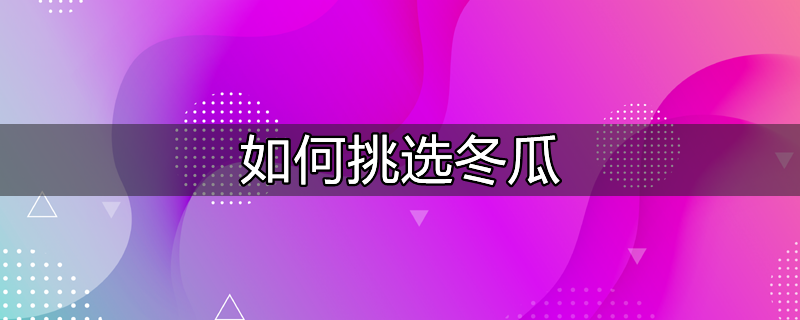 冬瓜的家常做法大全