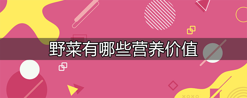 野菜有哪些营养价值