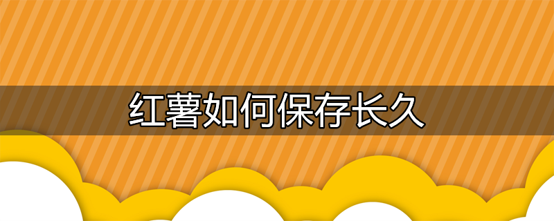 红薯如何存放才能保持长久