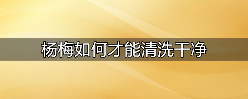 杨梅清洗的正确方法