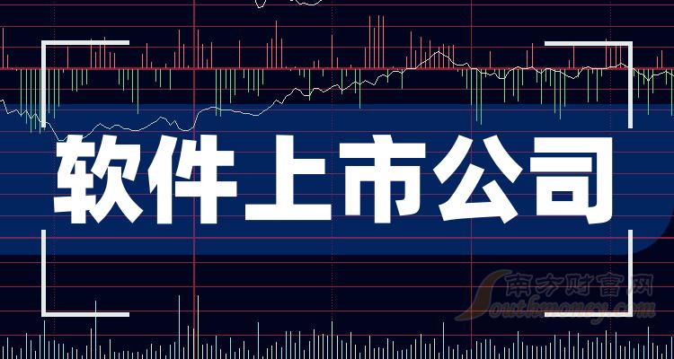 软件排名前十的上市公司有哪些_11月3日成交额排行榜