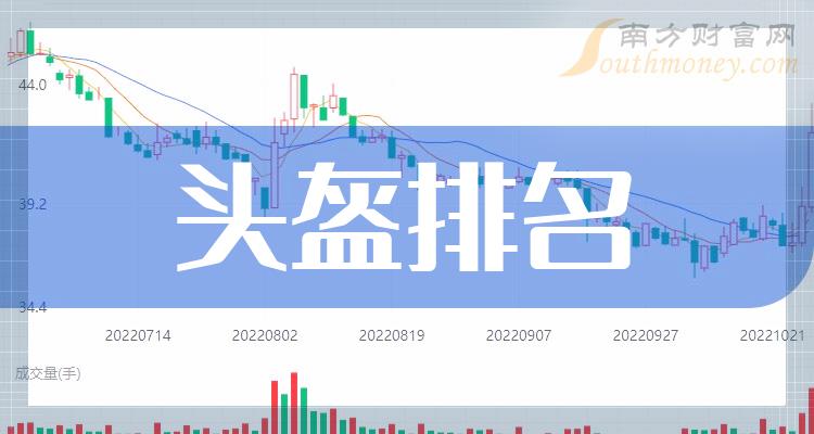 头盔相关企业排名前十的有哪些（2023年11月3日市盈率榜）