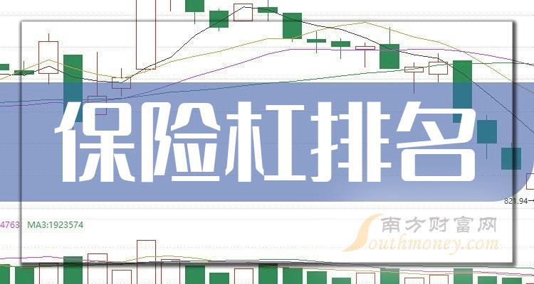 2023第二季度：保险杠上市公司每股收益排名前十的股票