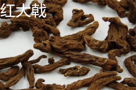 红大戟的功能主治